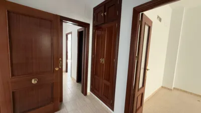 Apartment on Padre Miguel Roman Street photo 3