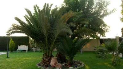 Casa - Vista 4