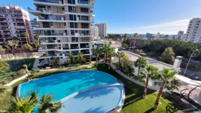 Apartment in Playa de San Juan photo 11