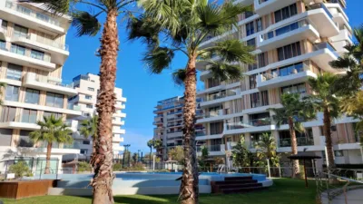 Apartment in Playa de San Juan photo 5