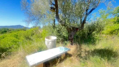 Rustic farm in Camino de Valmayor photo 8
