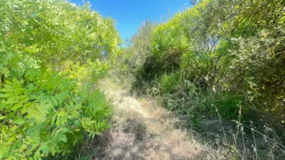 Rustic farm in Camino de Valmayor photo 36