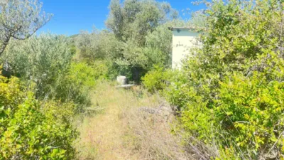 Rustic farm in Camino de Valmayor photo 29