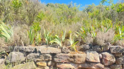 Rustic farm in Camino de Valmayor photo 28