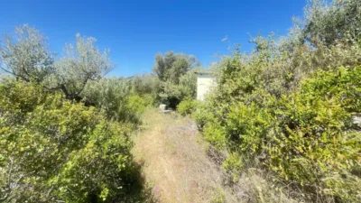Rustic farm in Camino de Valmayor photo 30