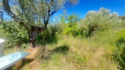 Rustic farm in Camino de Valmayor photo 9