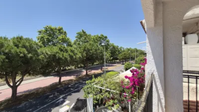 House in Moli de Baix photo 34