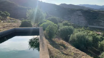 Finca rústica en venta en Camino Gelibra, Número 1, Casco Urbano (Almuñécar) de 200.000 €