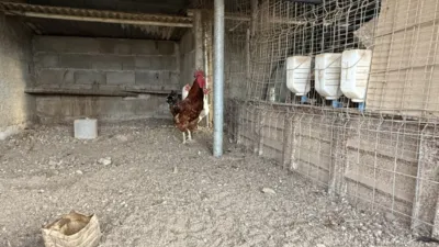 Finca rústica en venta en Camino Gelibra, Número 1, Casco Urbano (Almuñécar) de 200.000 €