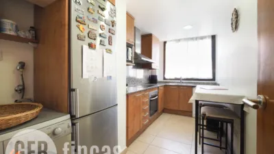 Duplex in Avinguda de Madrid photo 15