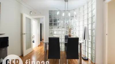 Apartment on Carrer de Nicolau Talló photo 4