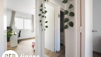 Apartment on Carrer de Francesc Layret photo 23