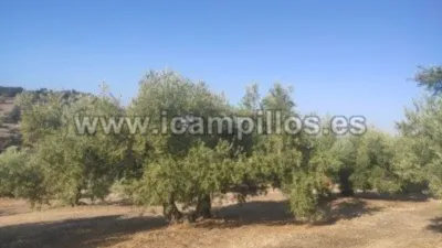 Rustic farm on Calle Termino de Cabra photo 4