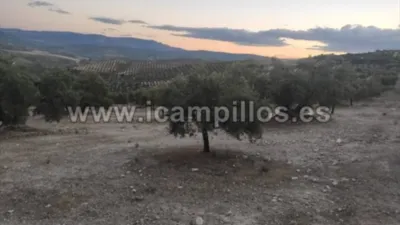 Finca rústica en venta en Calle Termino de Nueva Carteya - Más