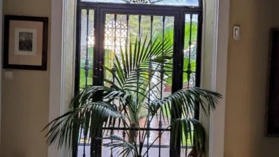 House on Calle Llana photo 8