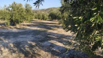 Rustic farm on Calle Termino de Luque photo 2