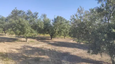 Casa - Vista 5