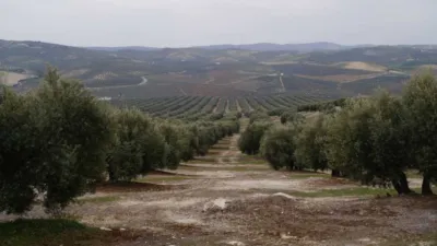 Rustic farm in Baena photo 6