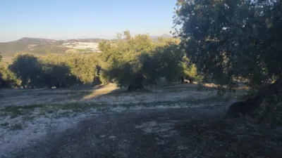 Casa - Vista 5