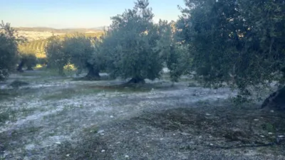 Rustic farm on Calle de Salvador Muñoz photo 6