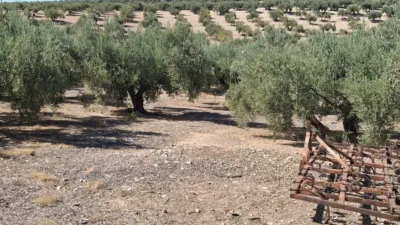 Rustic farm in Luque photo 2