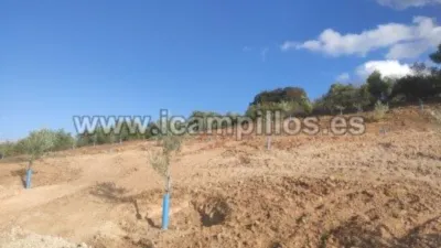 Rustic farm on Calle Termino de Priego photo 3
