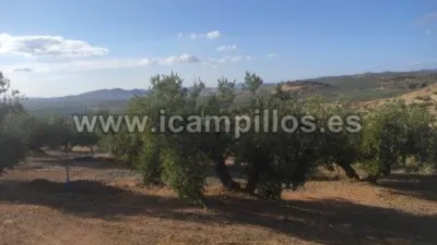 Rustic farm on Calle Termino de Priego photo 4
