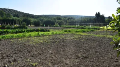 Rustic farm in Baena photo 3
