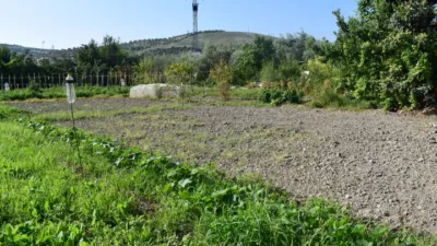 Rustic farm in Baena photo 4