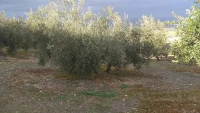 Rustic farm in Termino de Baena photo 3