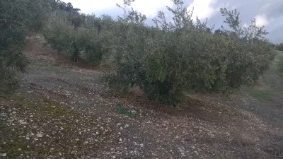 Rustic farm in Termino de Baena photo 4