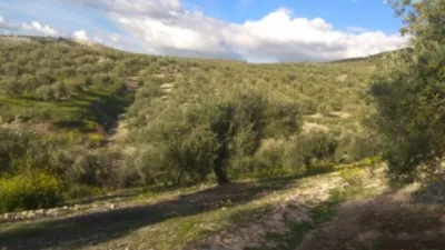 Rustic farm on Calle de Salvador Muñoz photo 3