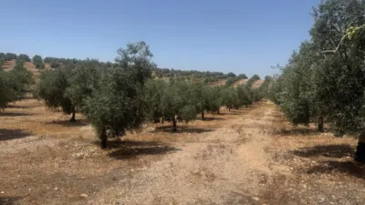 Rustic farm in Cacín photo 3