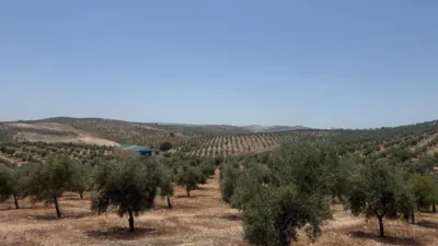 Rustic farm in Cacín photo 6