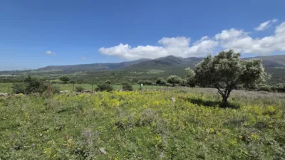 Rustic Finca in Polígono Betis photo 4