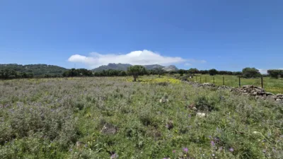 Rustic Finca in Polígono Betis photo 3
