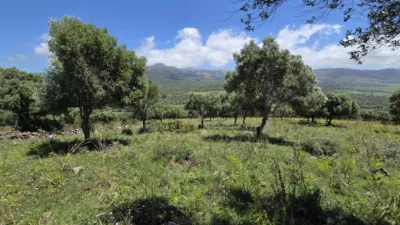 Rustic Finca in Polígono Betis photo 10