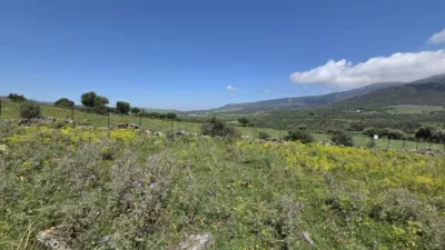 Rustic Finca in Polígono Betis photo 6