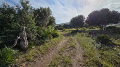 Rustic Finca on Camino Dehesa de Las Piñas photo 6