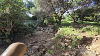 Rustic Finca on Camino Dehesa de Las Piñas photo 17