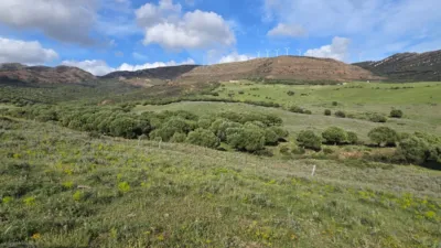 Rustic Finca on Camino Dehesa de Las Piñas photo 19