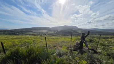 Rustic Finca on Camino Dehesa de Las Piñas photo 14