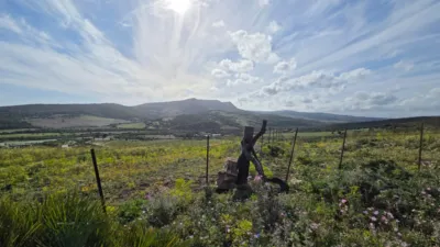 Rustic Finca on Camino Dehesa de Las Piñas photo 12