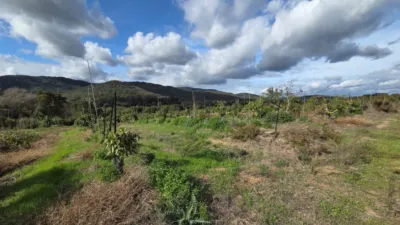 Rustic Finca in Castellar de La Frontera photo 10