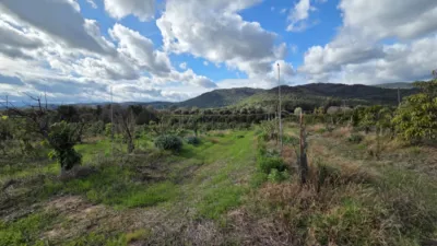 Rustic Finca in Castellar de La Frontera photo 3