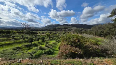 Rustic Finca in Castellar de La Frontera photo 6