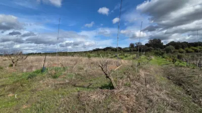 Rustic Finca in Castellar de La Frontera photo 5