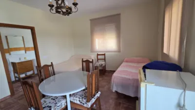 Rustic Finca in Castellar de La Frontera photo 14
