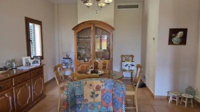 Single-family detached house in Colonia San Miguel-Los Pinos photo 12