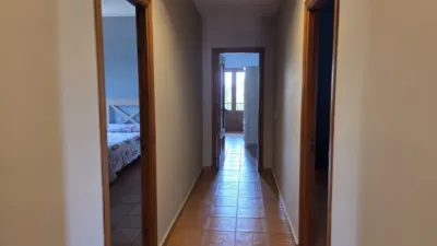 Single-family detached house in Colonia San Miguel-Los Pinos photo 18